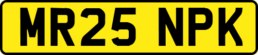 MR25NPK