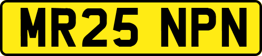 MR25NPN