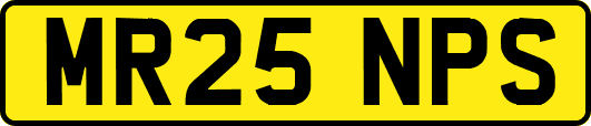 MR25NPS