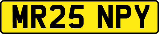 MR25NPY