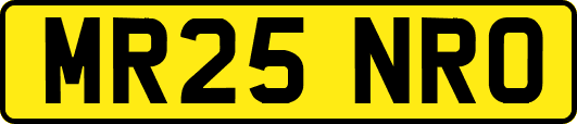 MR25NRO