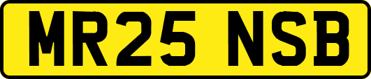 MR25NSB
