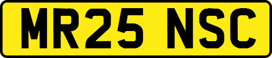 MR25NSC
