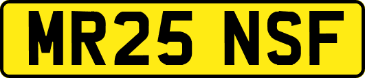MR25NSF