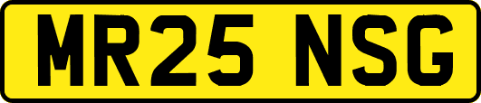 MR25NSG