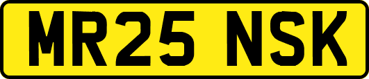 MR25NSK