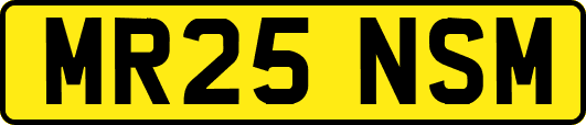 MR25NSM