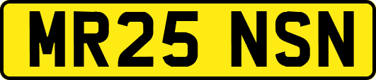 MR25NSN