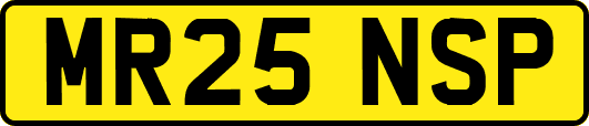 MR25NSP