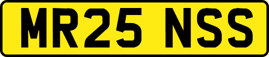 MR25NSS