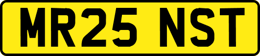MR25NST