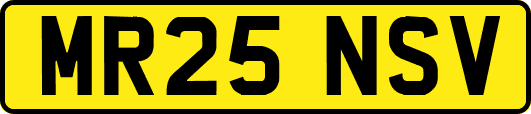 MR25NSV