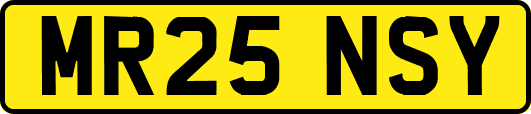 MR25NSY