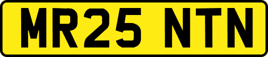 MR25NTN