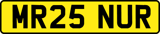 MR25NUR