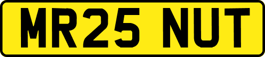 MR25NUT