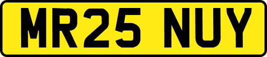 MR25NUY