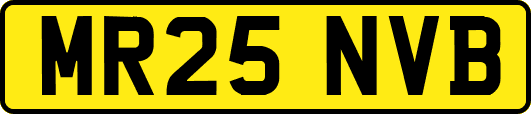 MR25NVB