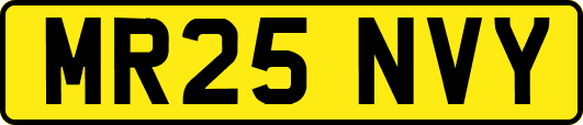 MR25NVY