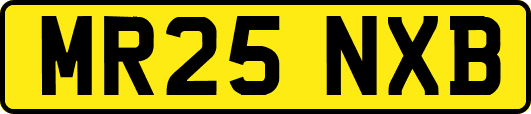 MR25NXB