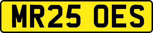 MR25OES