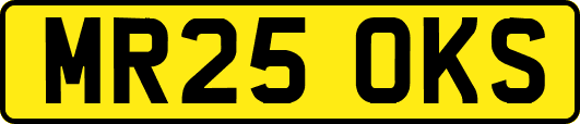 MR25OKS