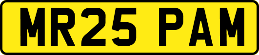 MR25PAM