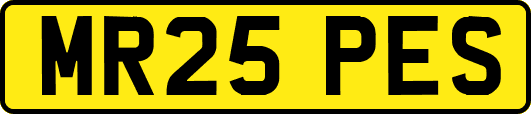 MR25PES