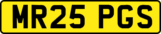 MR25PGS