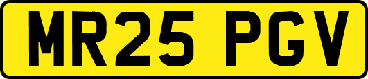MR25PGV