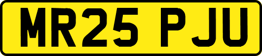 MR25PJU