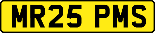 MR25PMS