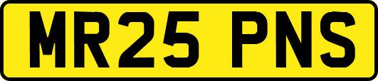 MR25PNS