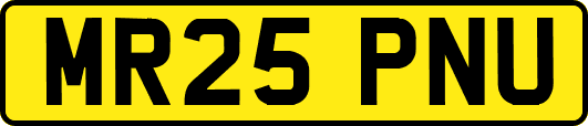 MR25PNU