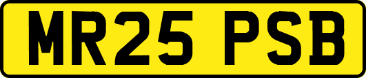 MR25PSB