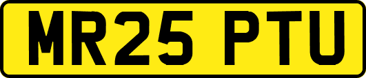 MR25PTU