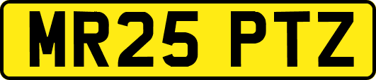MR25PTZ
