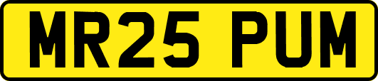 MR25PUM