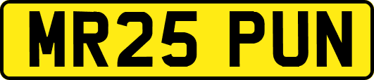 MR25PUN