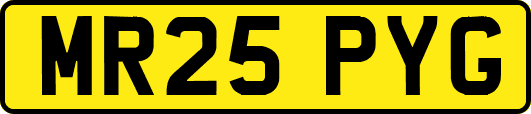 MR25PYG