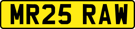 MR25RAW