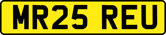 MR25REU