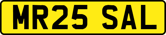 MR25SAL