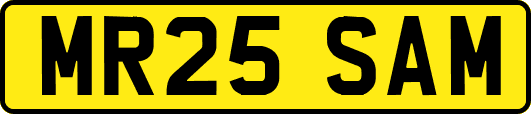 MR25SAM