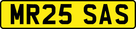 MR25SAS