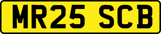 MR25SCB