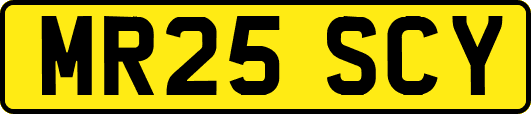 MR25SCY