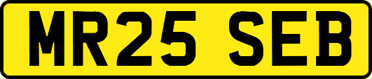 MR25SEB