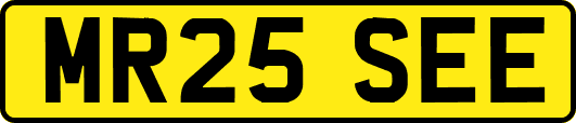 MR25SEE