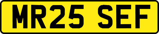 MR25SEF